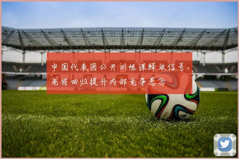 中国代表团公开训练课释放信号，老将回归提升内部竞争悬念