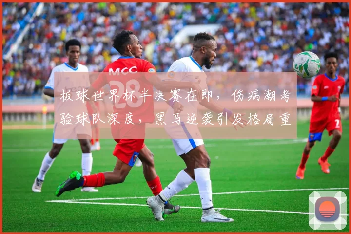 板球世界杯半决赛在即，伤病潮考验球队深度，黑马逆袭引发格局重塑